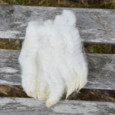 Washed Fleece